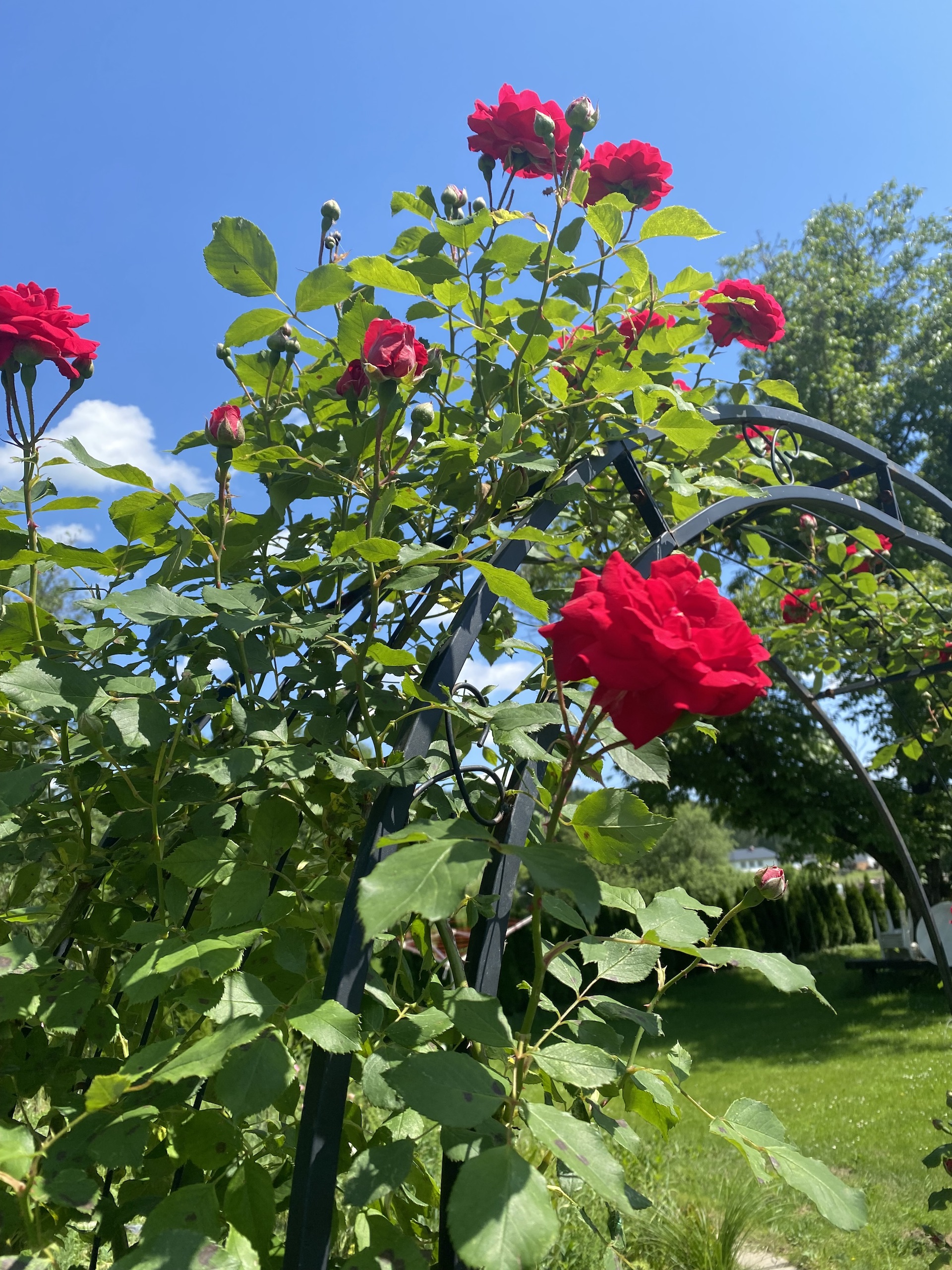 Soulness FrauenWissen